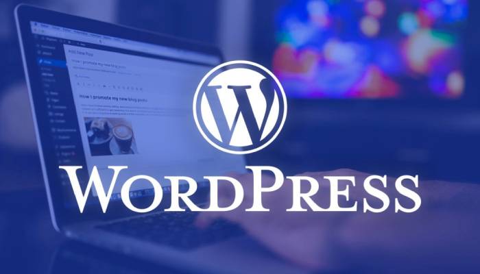 آموزش Wordpress آنلاین با مدرک معتبر